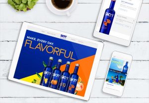 skyy1100 Web Design Company - Skyy Vodka